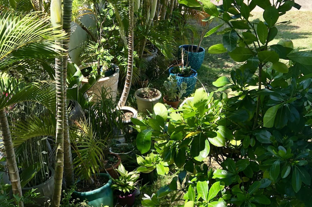 Photo of Outdoor in Tantalus