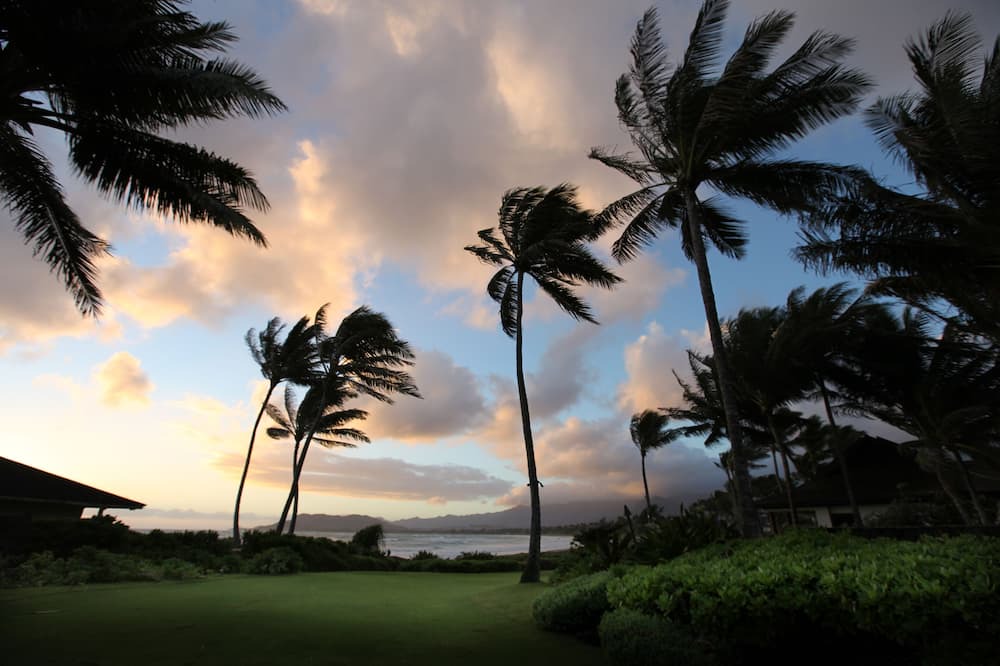 Photo of Others in Kailua