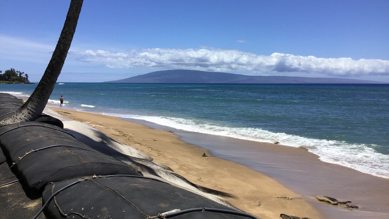 Photo of Others in Kahana