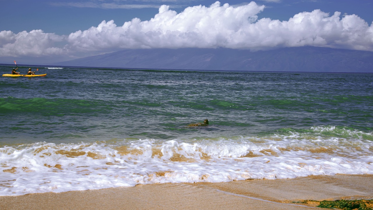 Photo of Others in Kahana
