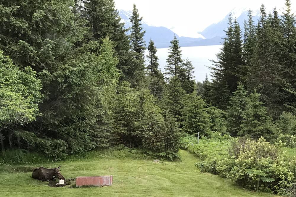 Photo of Others in Diamond Ridge