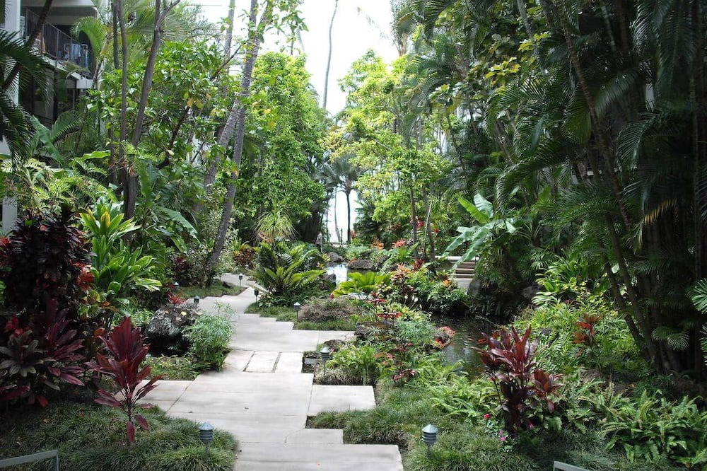 Photo of Outdoor in Waialae Iki