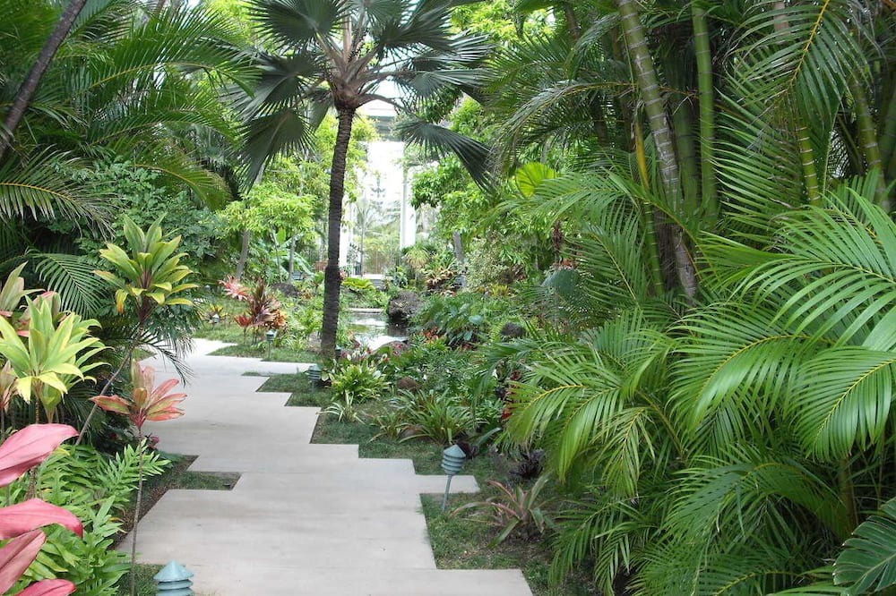 Photo of Outdoor in Waialae Iki