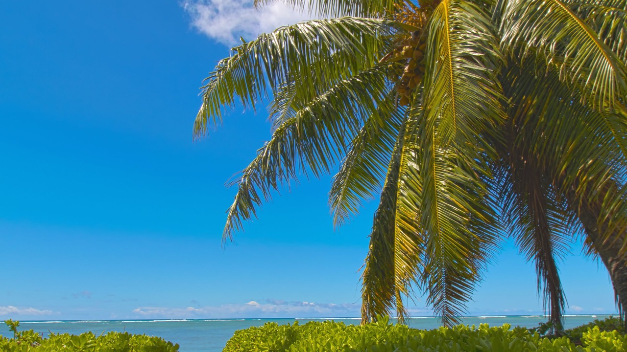 Photo of Outdoor in Kuliouou - Kalani Iki
