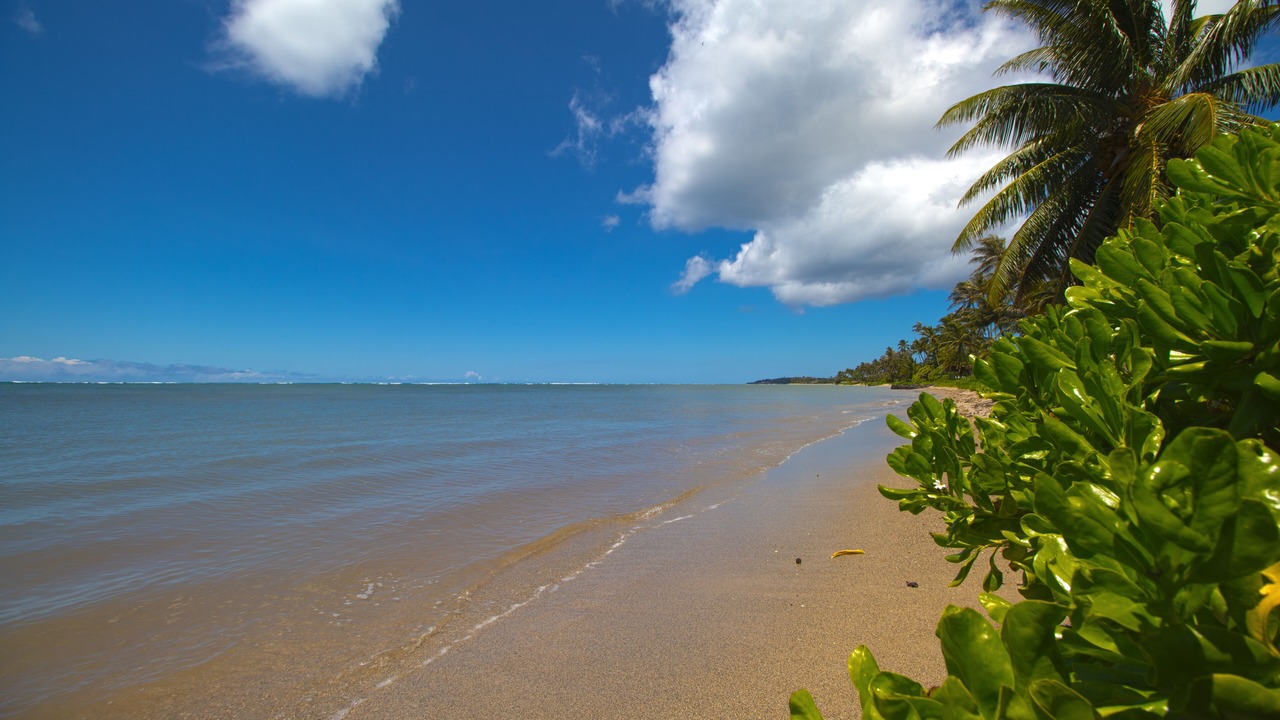 Photo of Others in Kuliouou - Kalani Iki