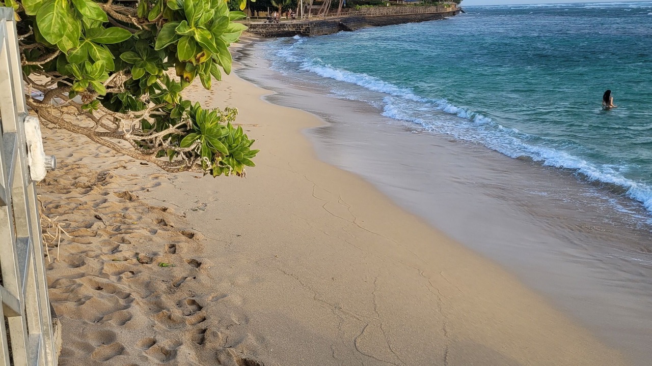 Photo of Others in Diamond Head - Kapahulu - St. Louis