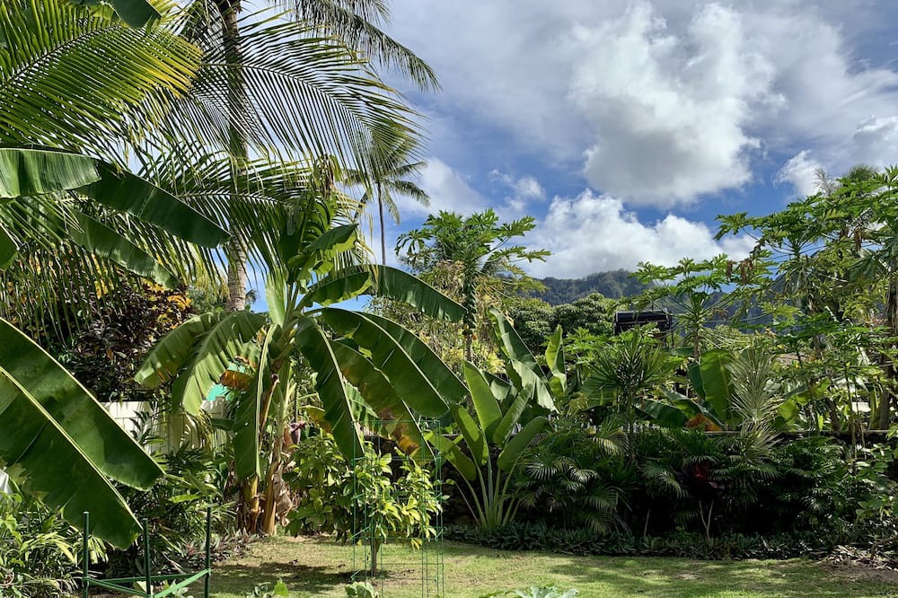 Photo of Outdoor in Waimanalo