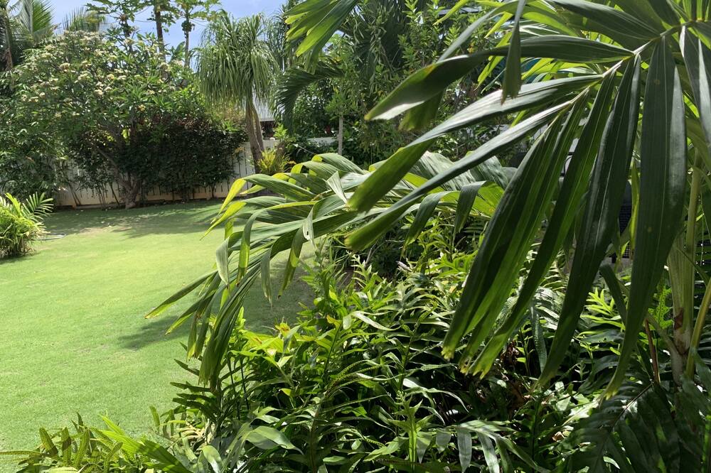 Photo of Others in Waimanalo
