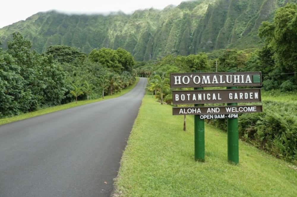 Photo of Others in Kaneohe