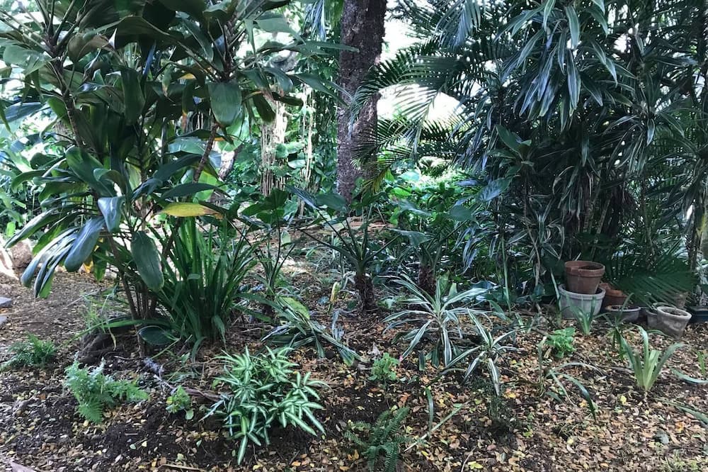 Photo of Outdoor in Kaneohe