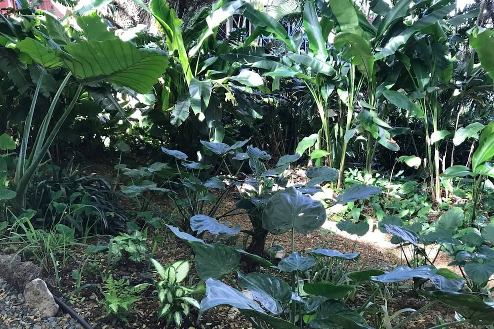 Photo of Outdoor in Kaneohe
