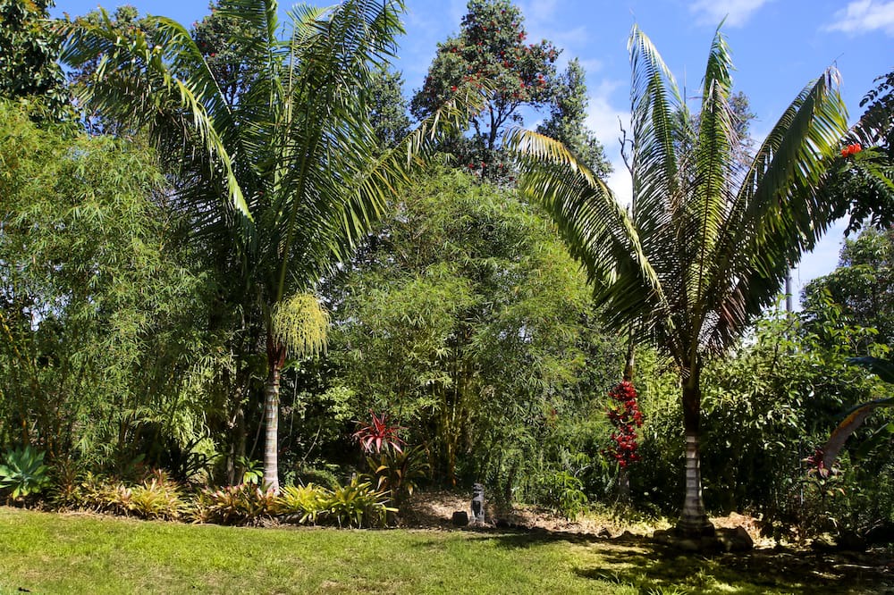 Photo of Others in Keaau