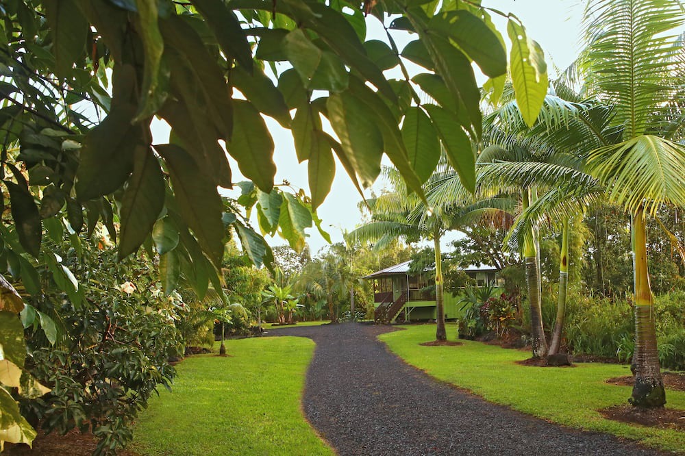 Photo of Outdoor in Keaau