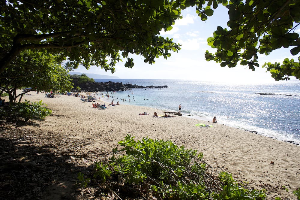 Photo of Others in Pupukea