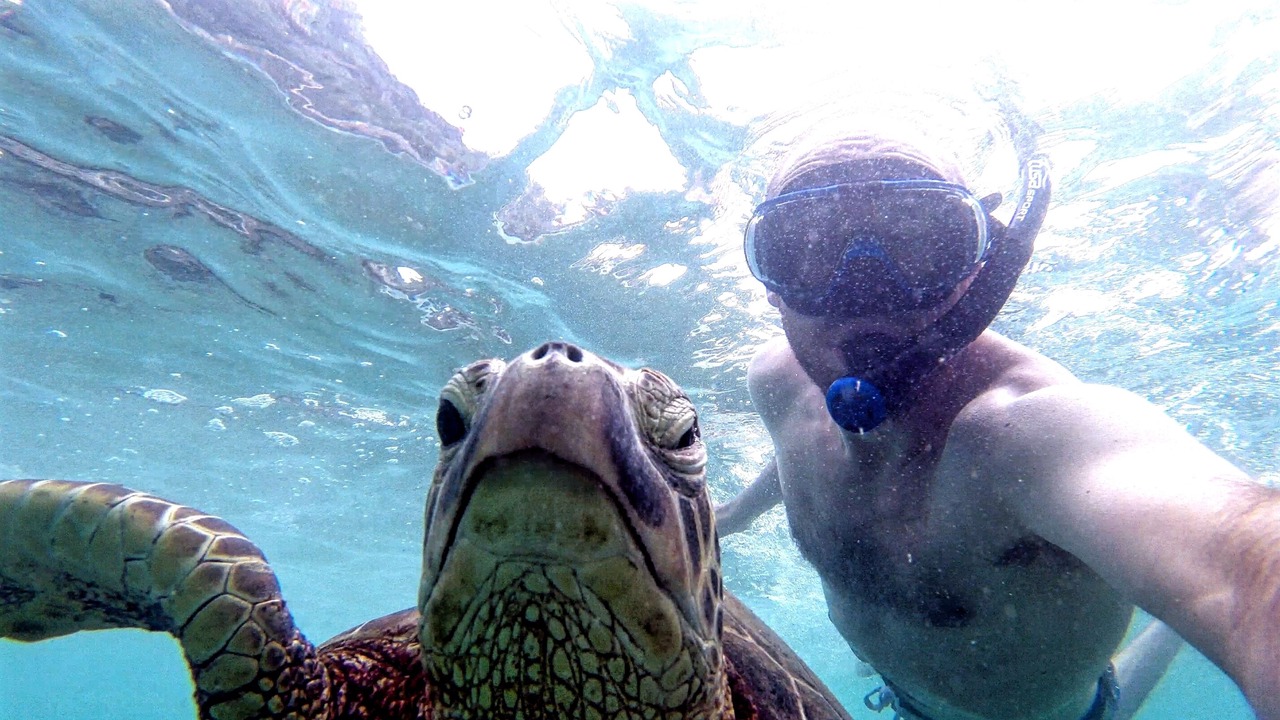 Photo of Others in Makaha