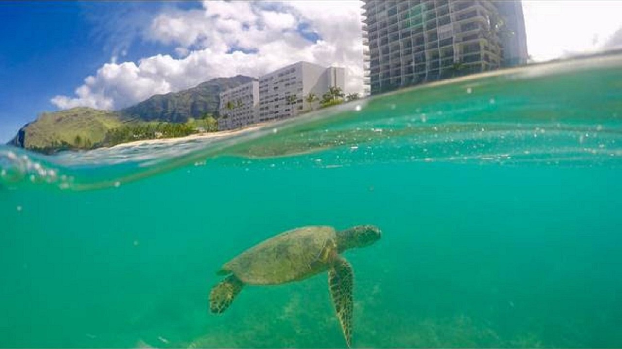 Photo of Outdoor in Makaha