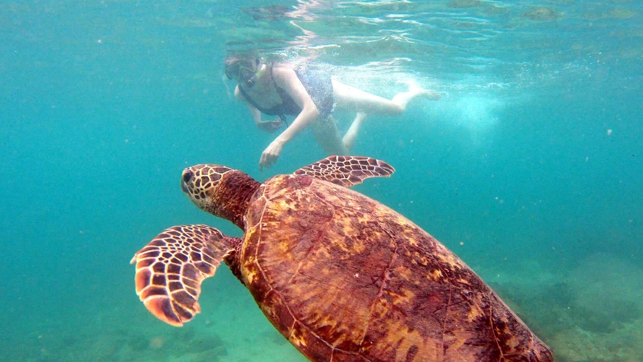 Photo of Outdoor in Makaha