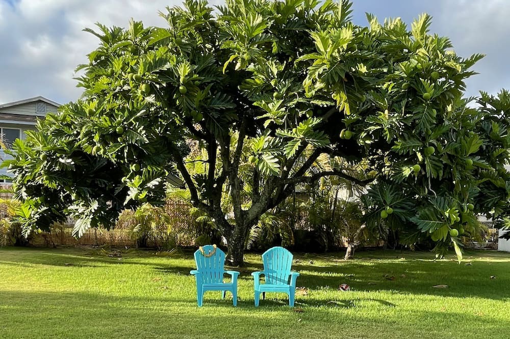 Photo of Outdoor in Waimanalo
