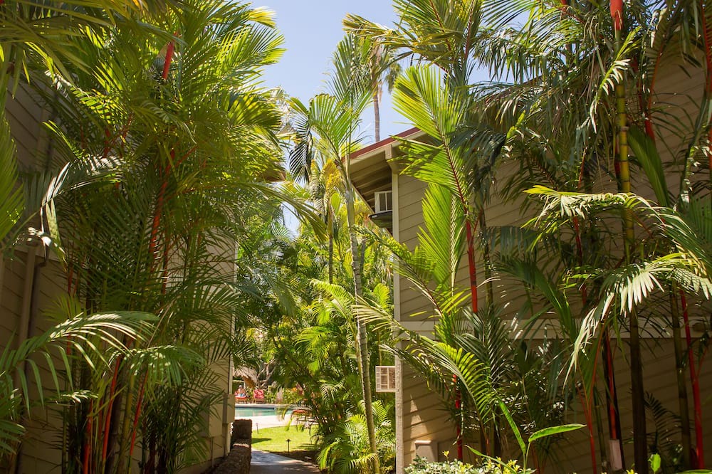 Photo of Outdoor in Historic Lahaina Front Street
