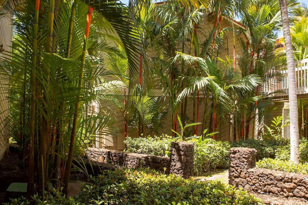 Photo of Outdoor in Historic Lahaina Front Street