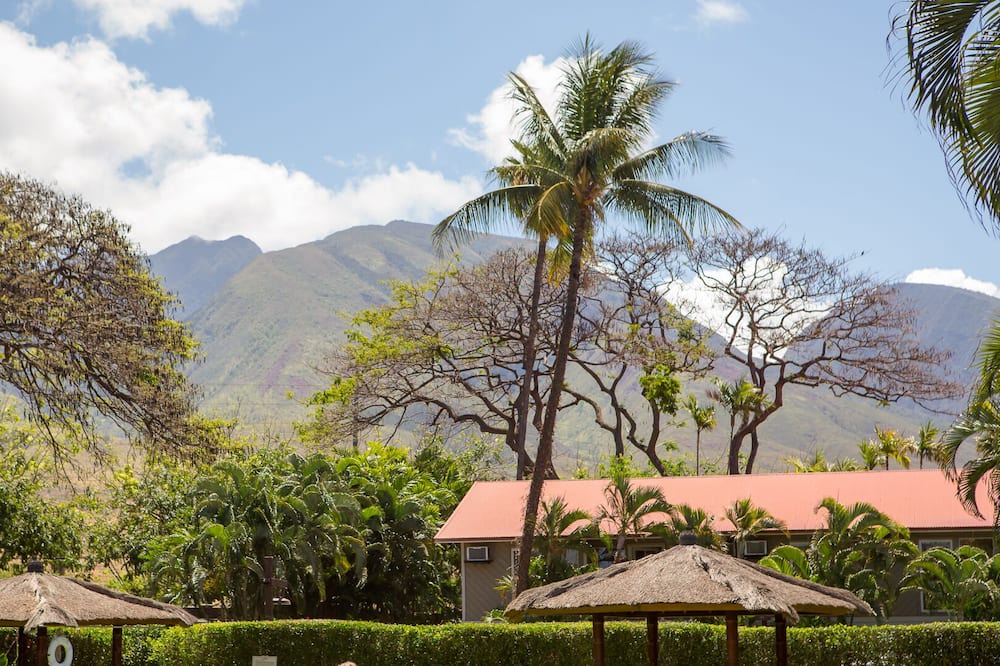 Photo of Outdoor in Historic Lahaina Front Street