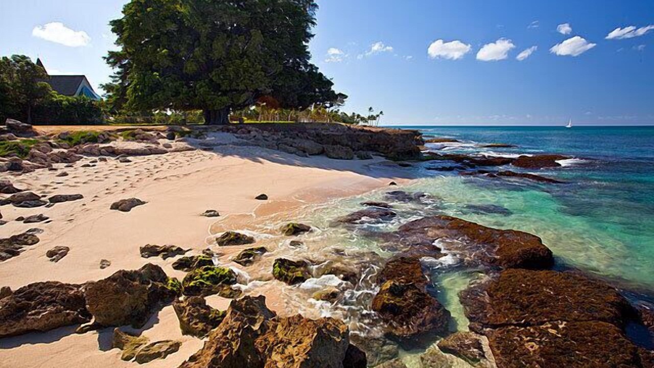 Photo of Others in Ko Olina