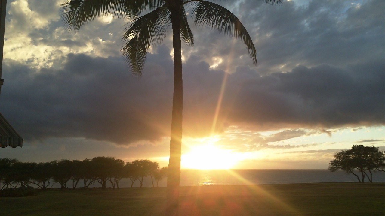 Photo of Others in Ko Olina