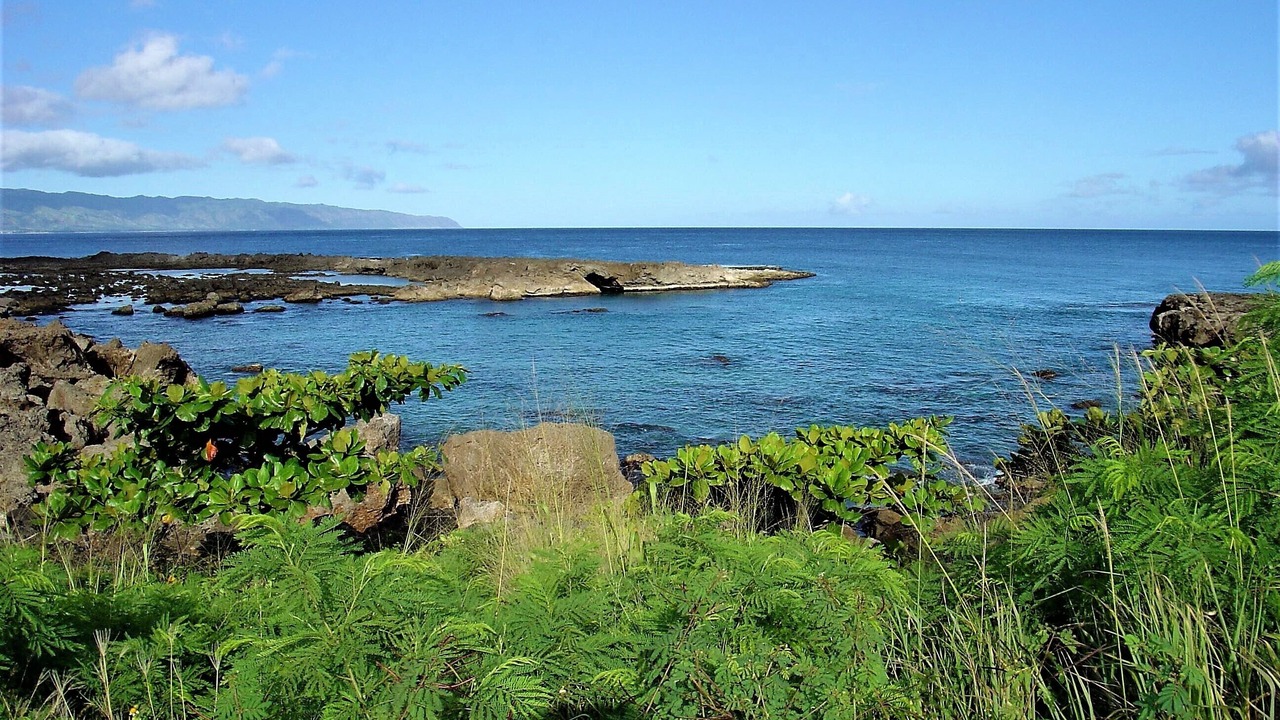 Photo of Others in Pupukea