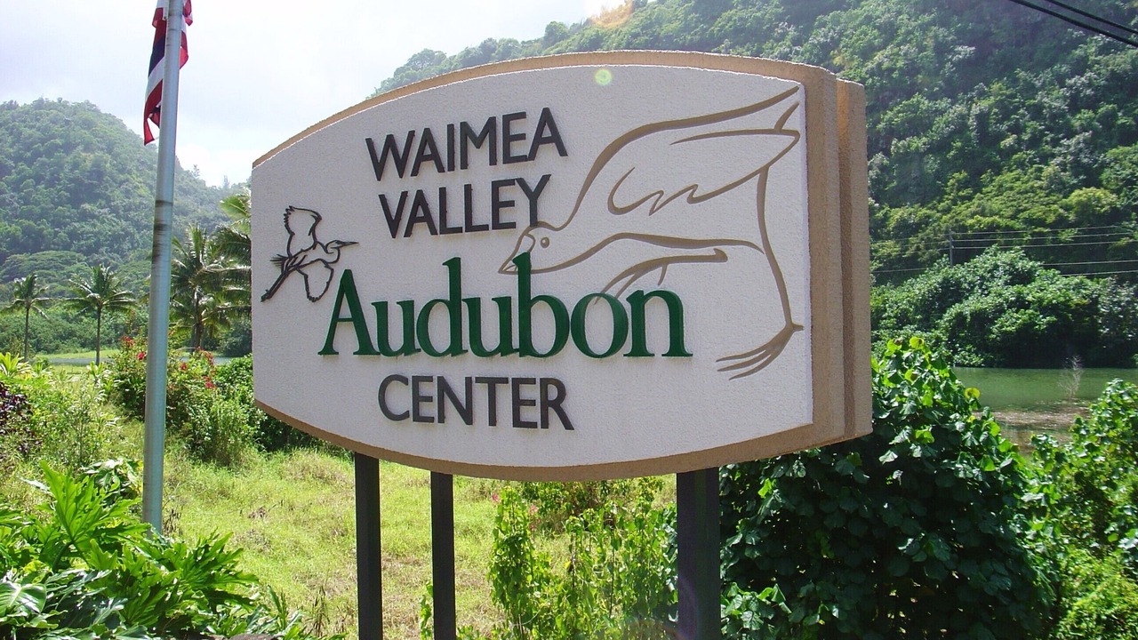 Photo of Outdoor in Pupukea