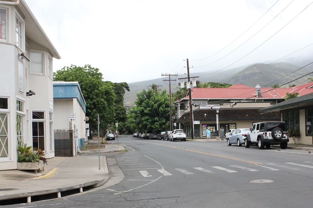 Photo of Others in Historic Lahaina Front Street