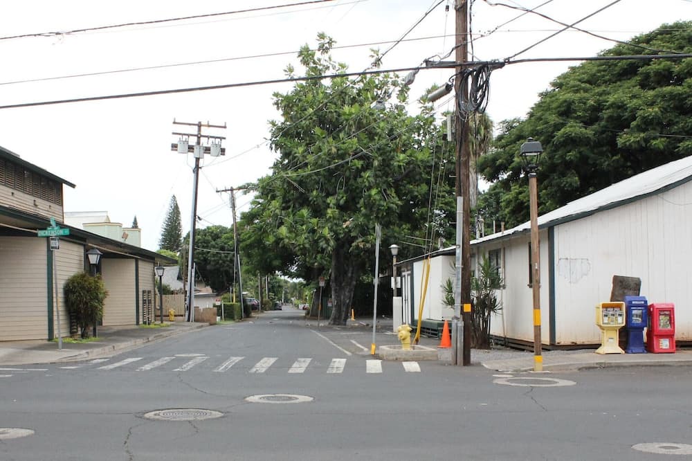 Photo of Others in Historic Lahaina Front Street