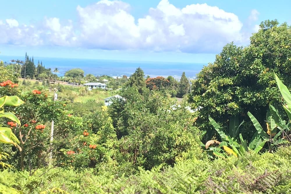 Photo of Others in Hilo