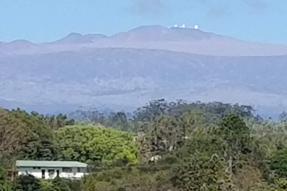 Photo of Others in Hilo