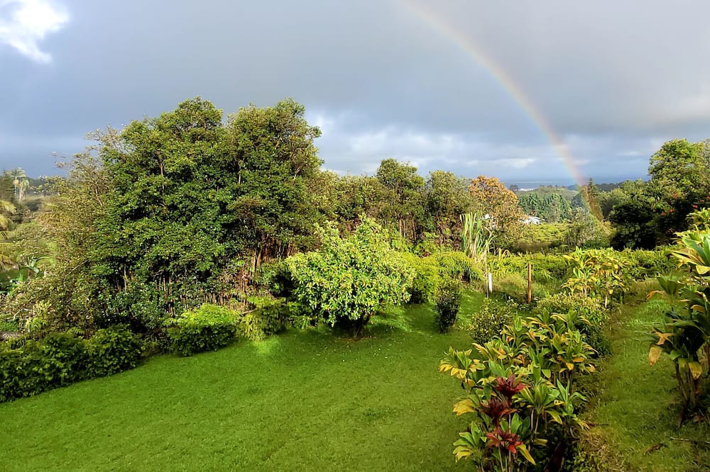 Photo of Others in Hilo
