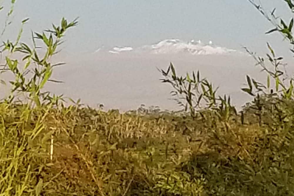 Photo of Others in Hilo