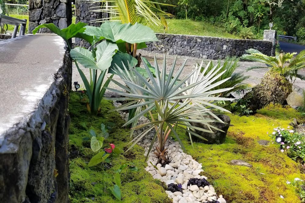 Photo of Others in Hilo