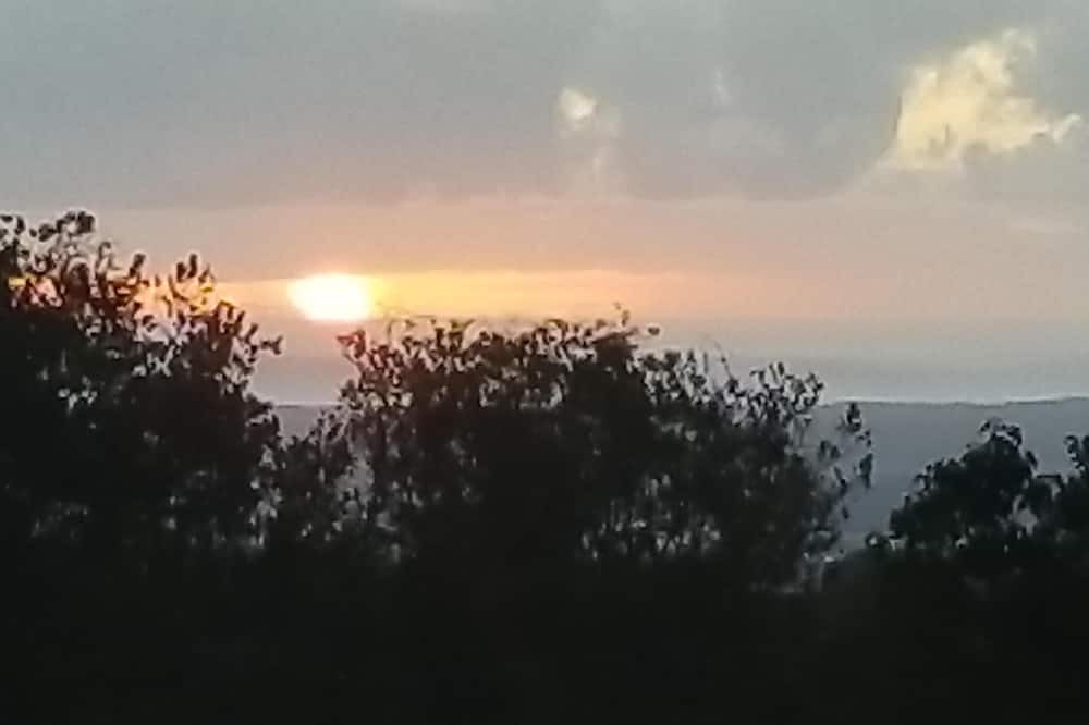 Photo of Others in Hilo