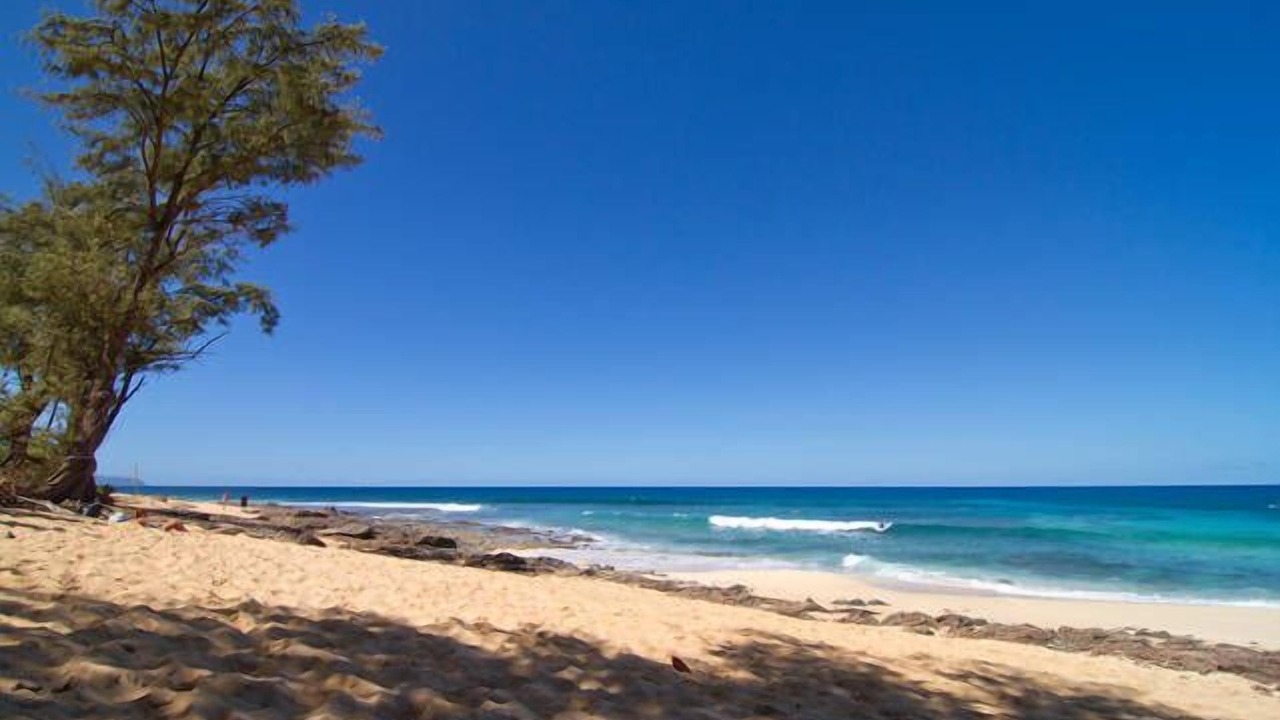 Photo of Others in Pupukea