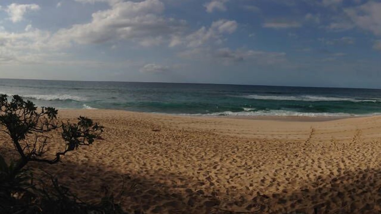 Photo of Others in Pupukea