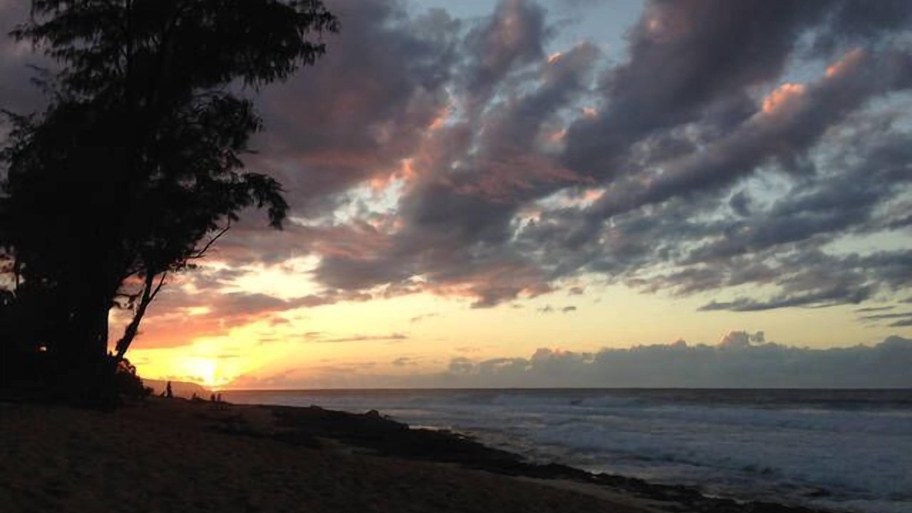 Photo of Others in Pupukea