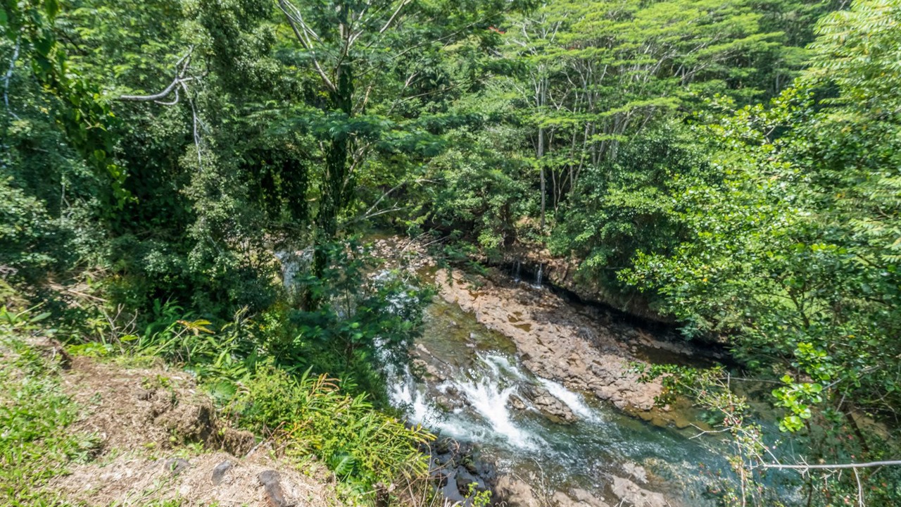 Photo of Others in Hilo