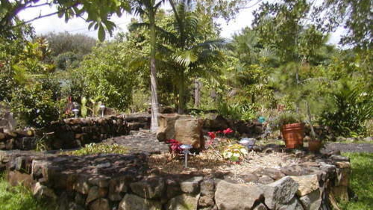 Photo of Others in Hilo
