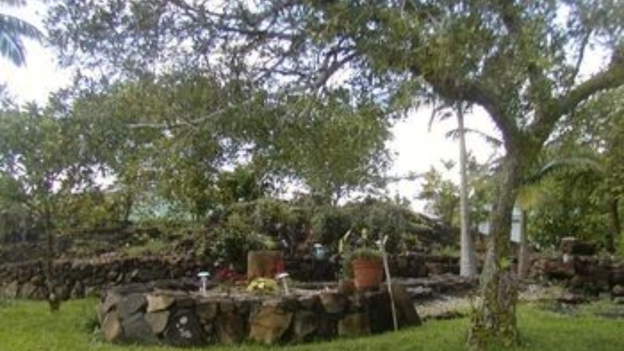 Photo of Outdoor in Hilo