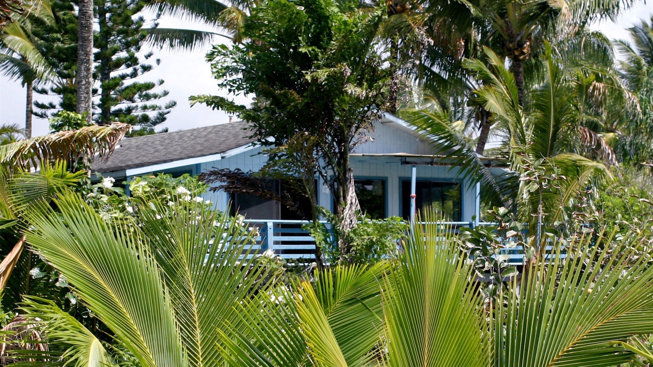 Photo of Outdoor in Kalapana