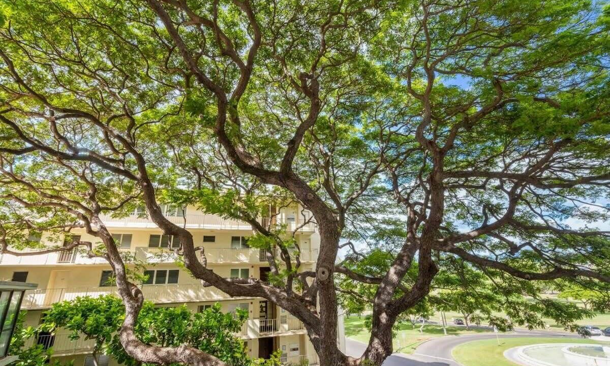 Photo of Outdoor in Diamond Head - Kapahulu - St. Louis