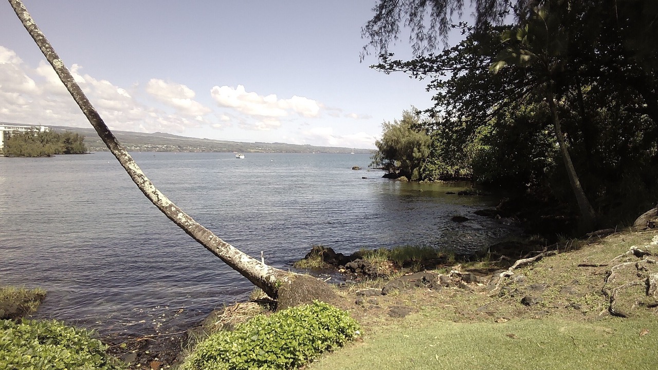 Photo of Others in Keaukaha
