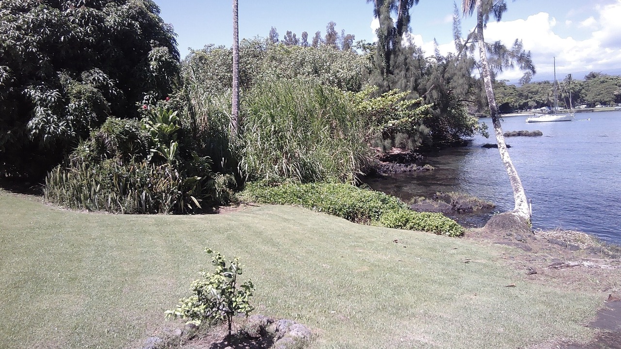 Photo of Outdoor in Keaukaha
