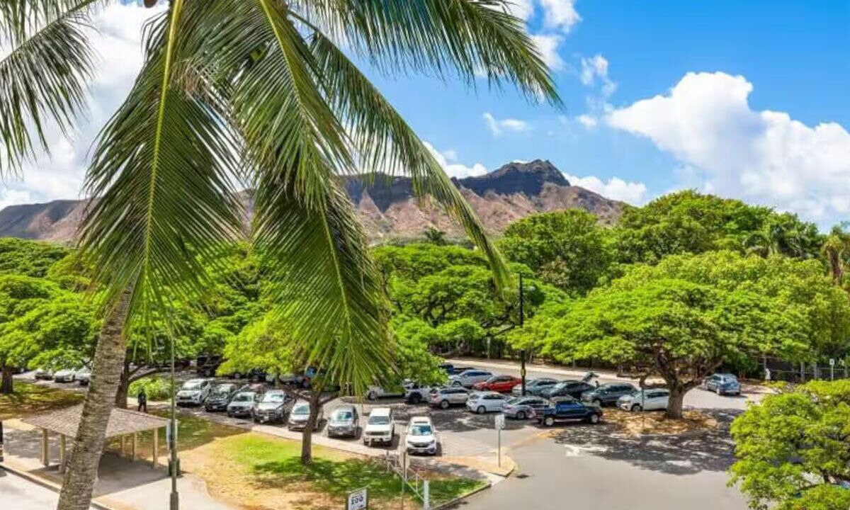 Photo of Others in Diamond Head - Kapahulu - St. Louis