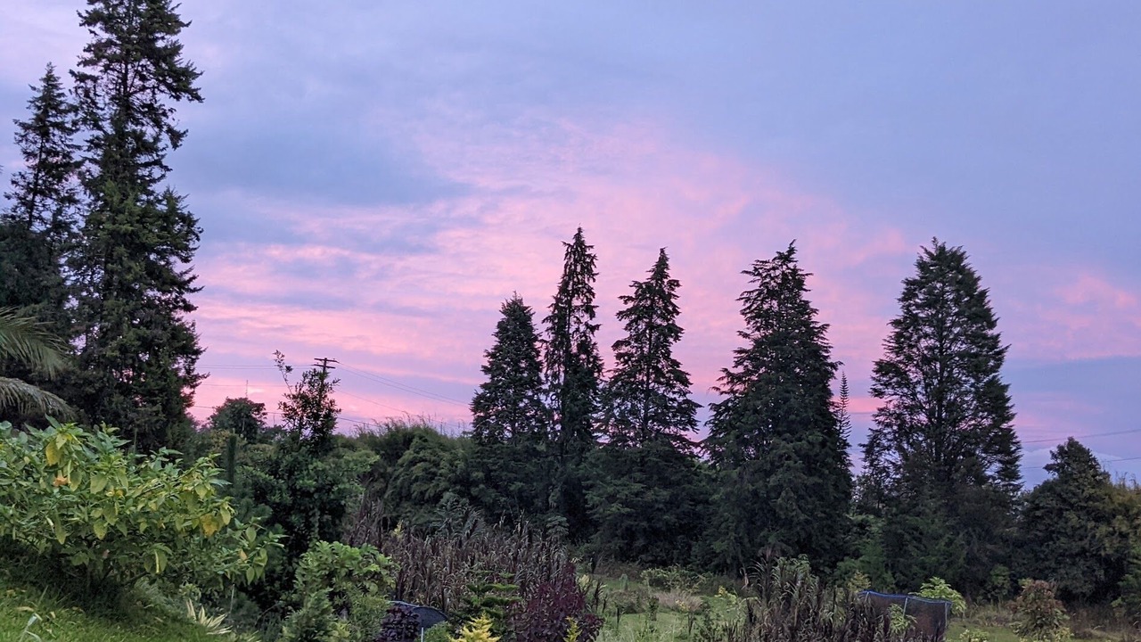 Photo of Outdoor in Hilo
