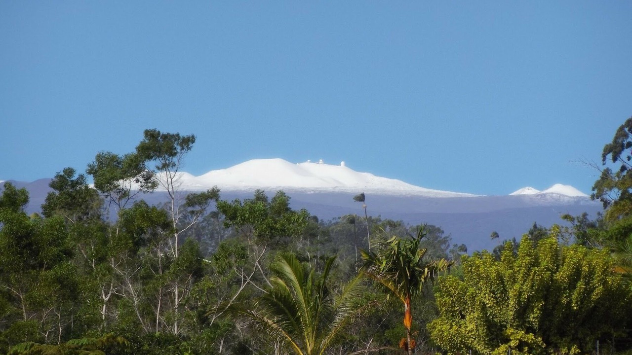 Photo of Outdoor in Hilo